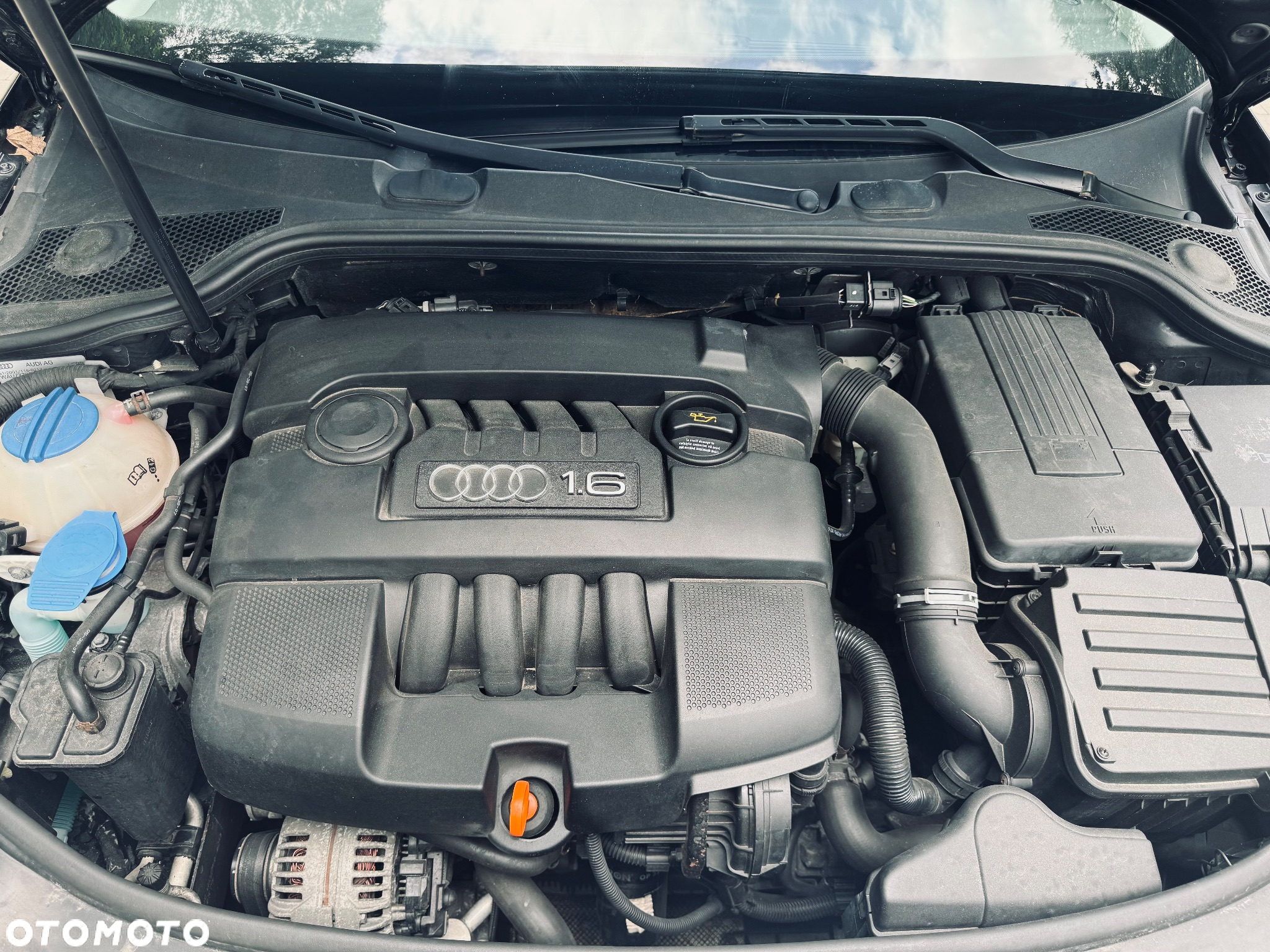 Audi A3 1.6 Ambiente - 11