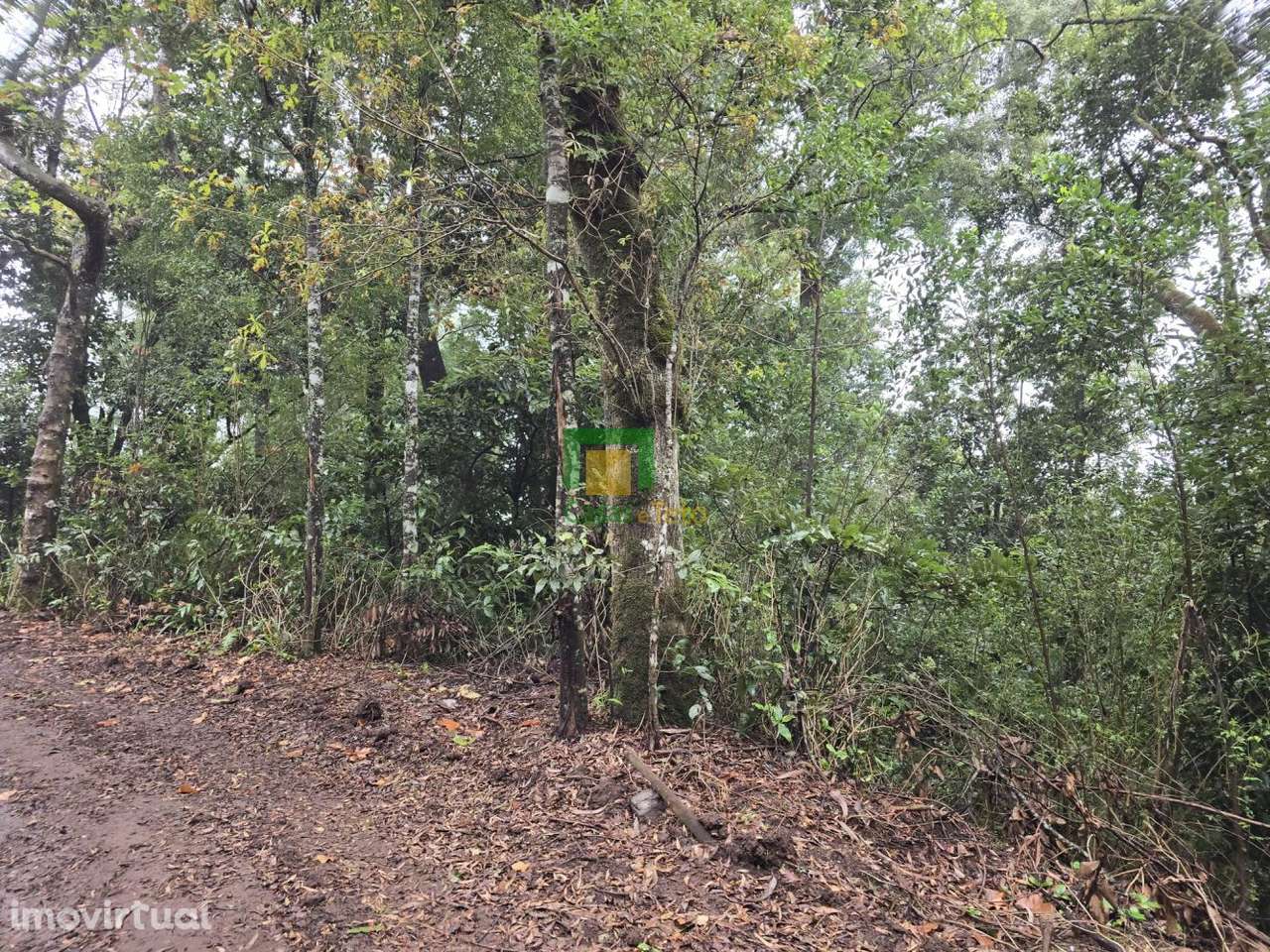 Santana - Grande imagem: 4/5