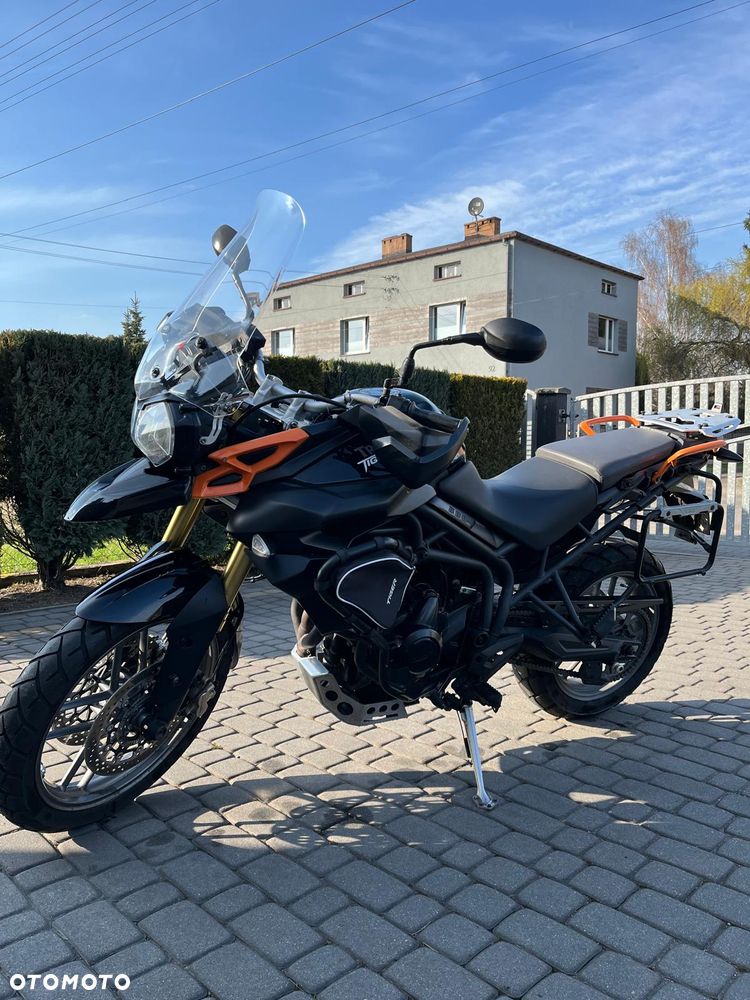 Triumph Tiger - 10