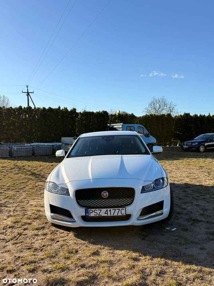 Jaguar XF 2.0 i4D Prestige - 2
