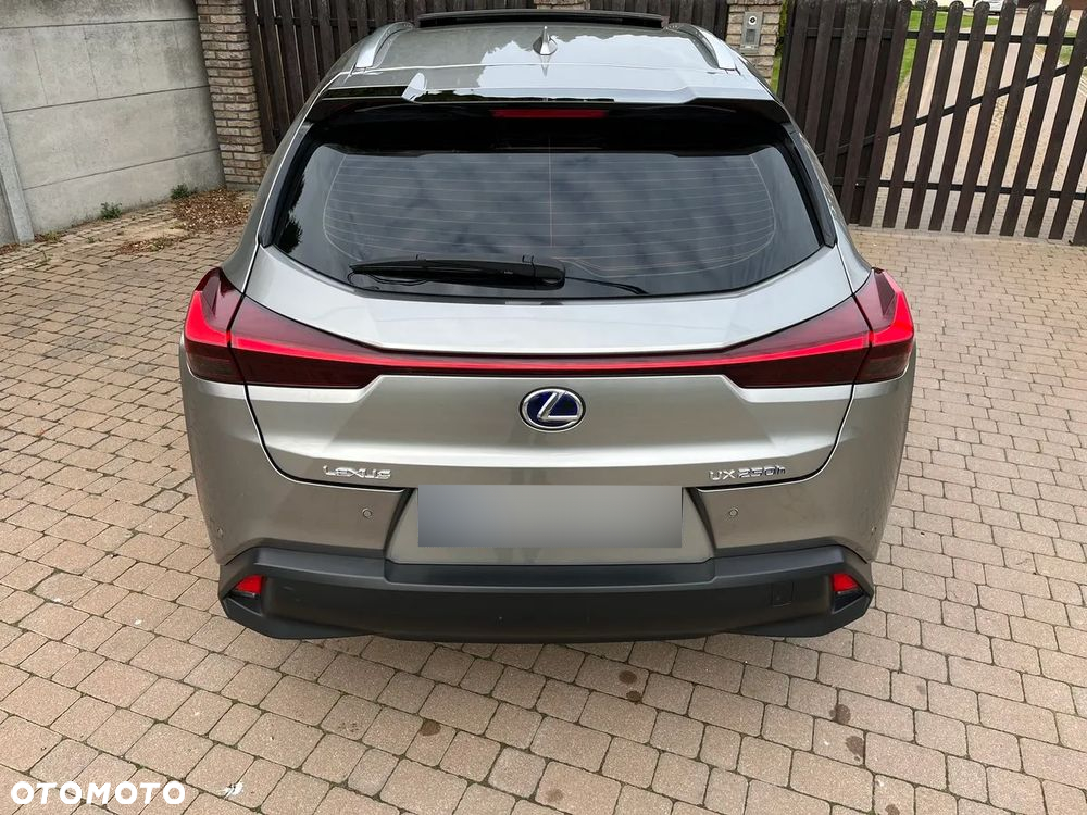 Lexus UX 250h (E-FOUR) Executive Line - 11