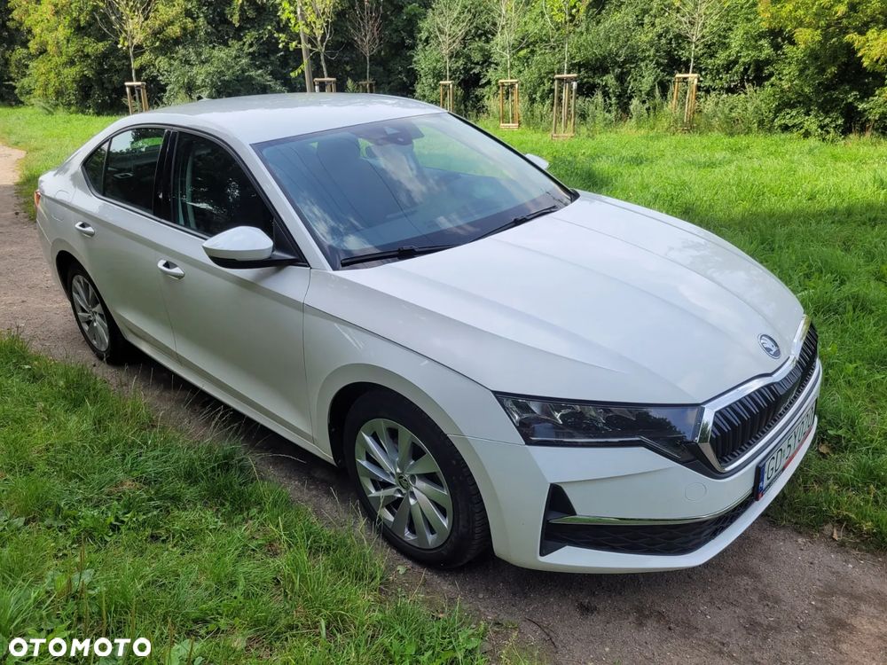Skoda Octavia 2.0 TDI Business - 10