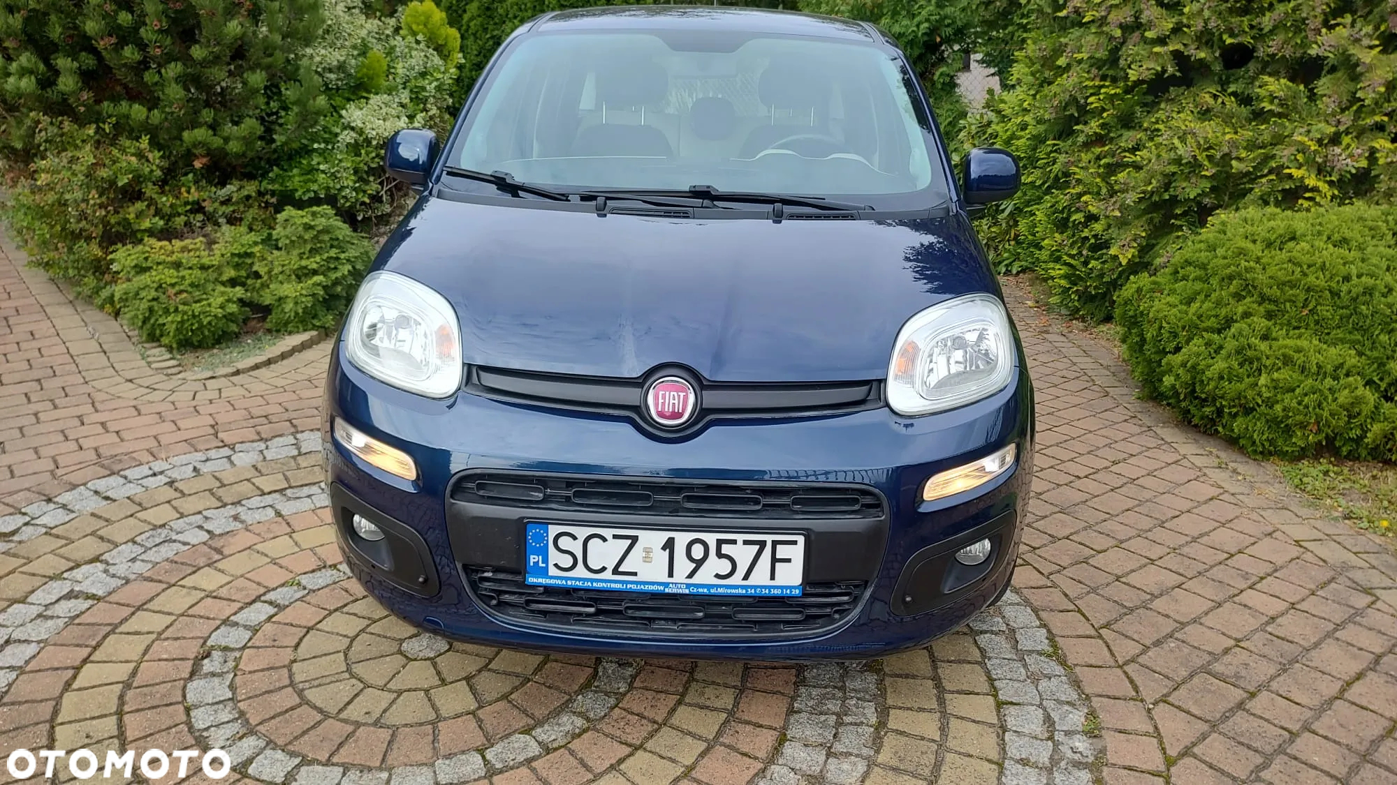 Fiat Panda 1.2 Lounge - 2