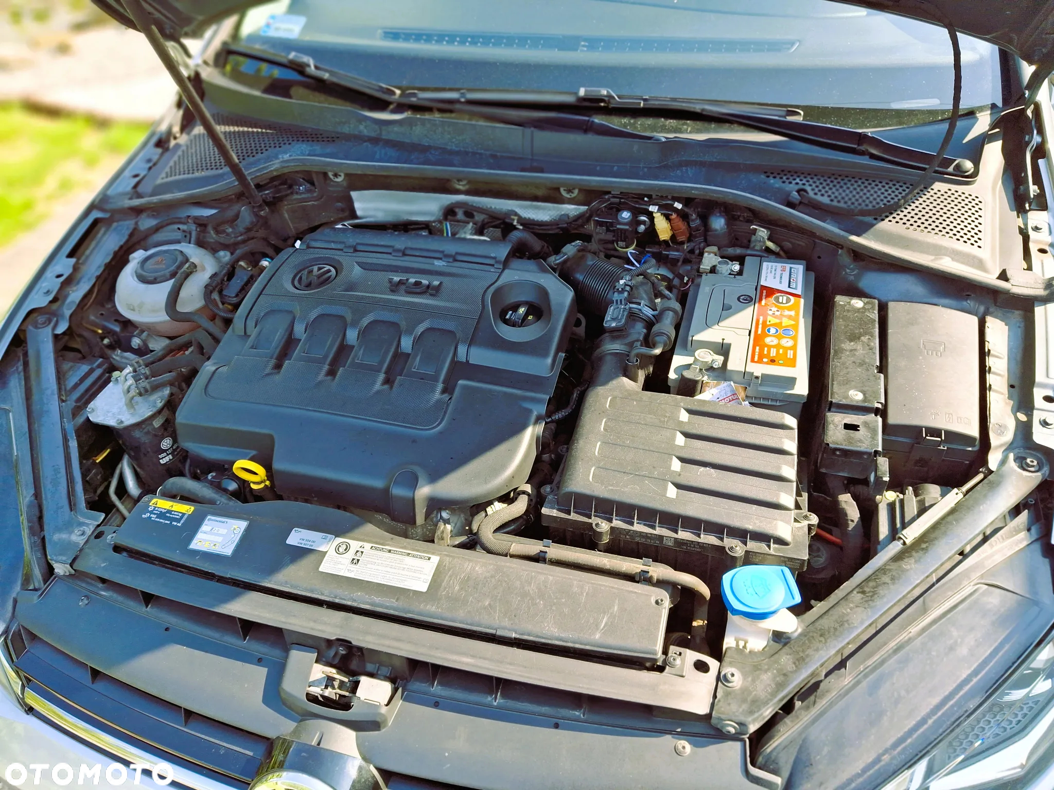 Volkswagen Golf VII 1.6 TDI BMT United - 20