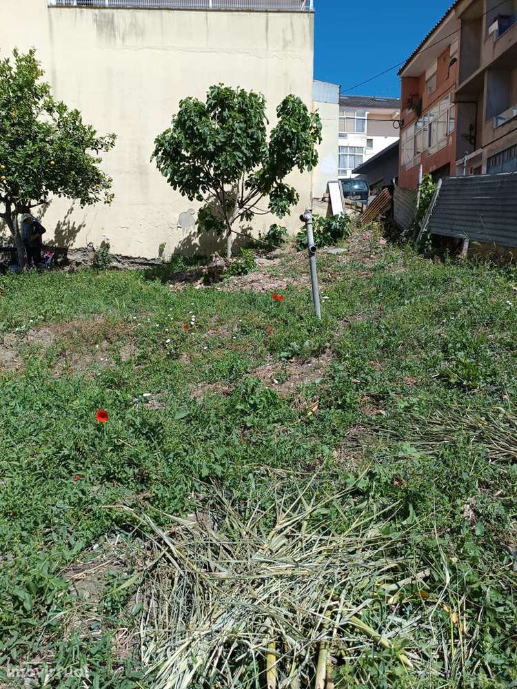 Venda Terreno - Grande imagem: 3/6