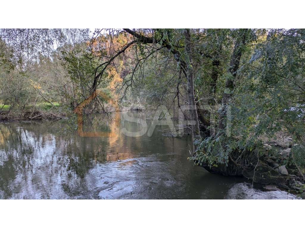 Moradia em Xisto, em frente ao rio Sousa. - Grande imagem: 3/6