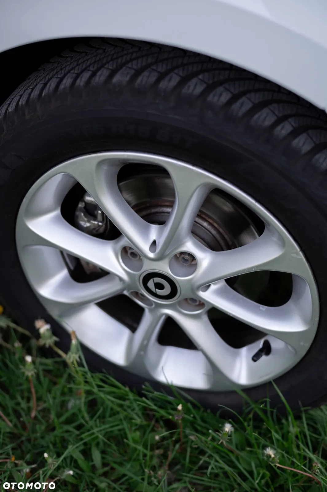 Smart Forfour - 19