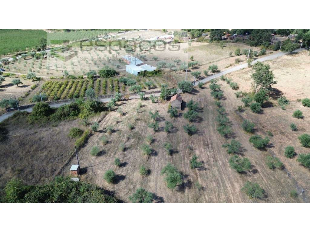 Magnifica Quinta - Grande imagem: 2/58