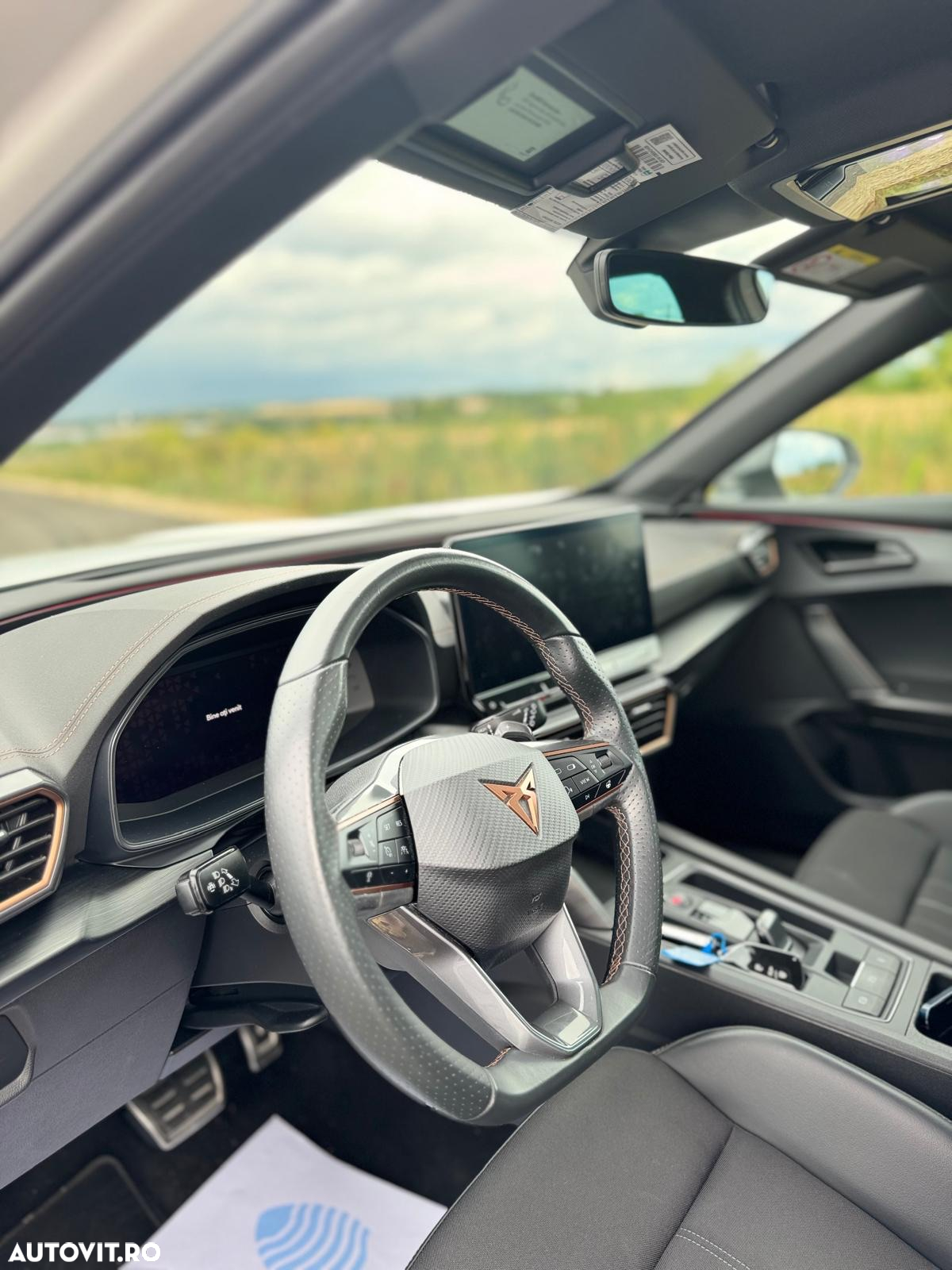 Cupra Formentor VZ 2.0 TSI DSG - 14