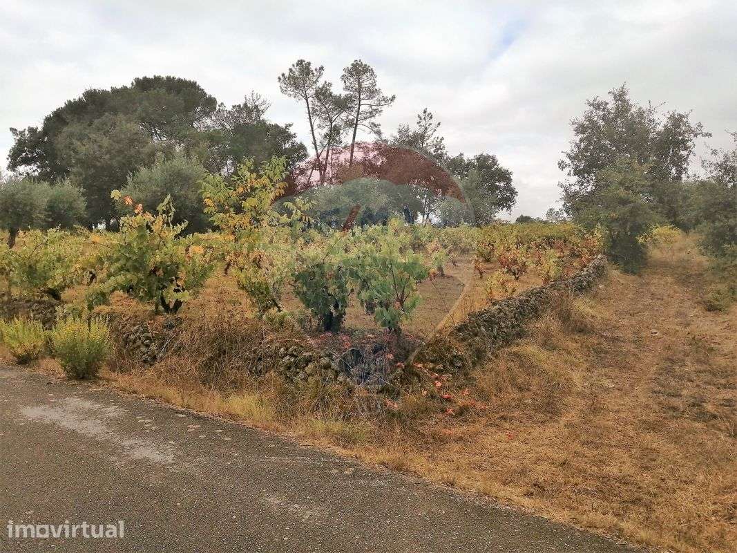 Terreno  para venda - Grande imagem: 3/6