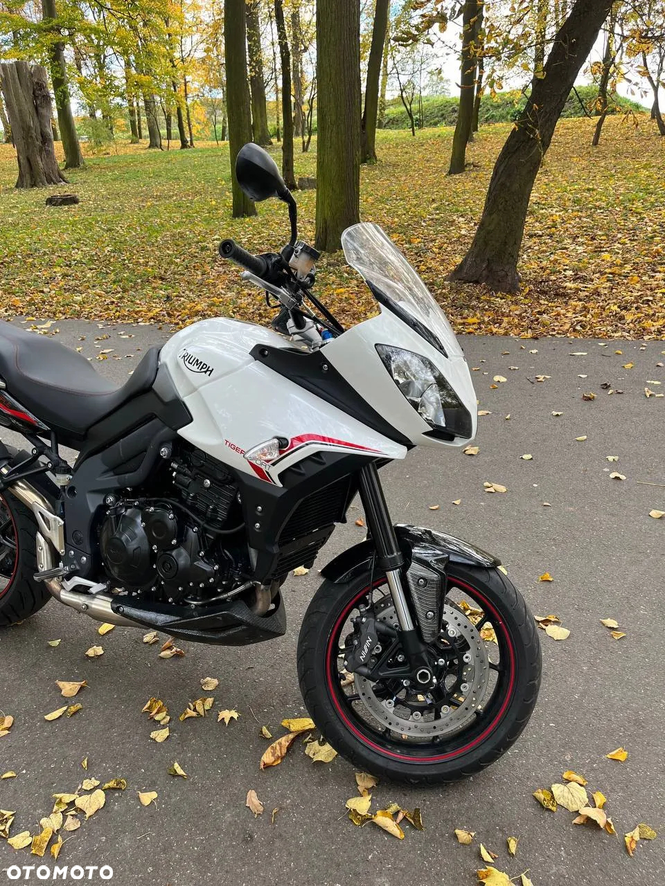 Triumph Tiger - 8
