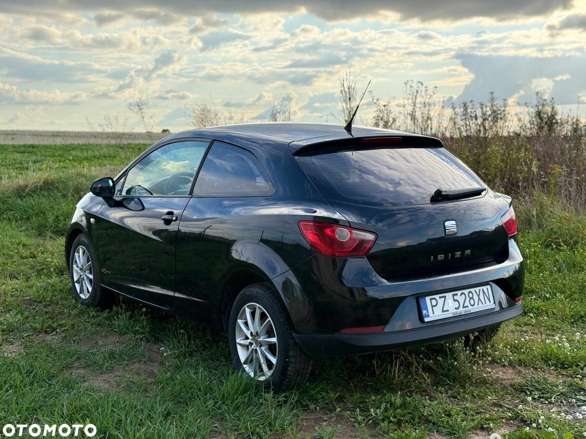 Seat Ibiza - 4