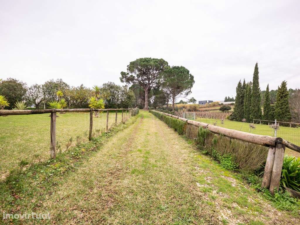 Quinta com Moradia T6 | Quinta dos Lagares, Souselas - Grande imagem: 4/60