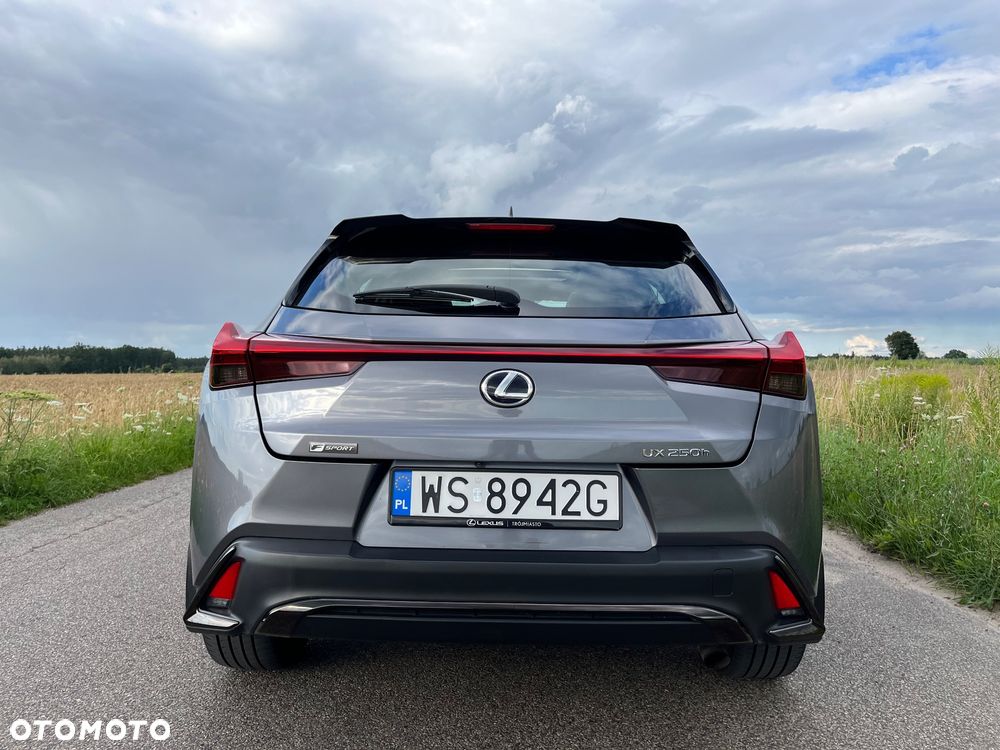 Lexus UX - 6