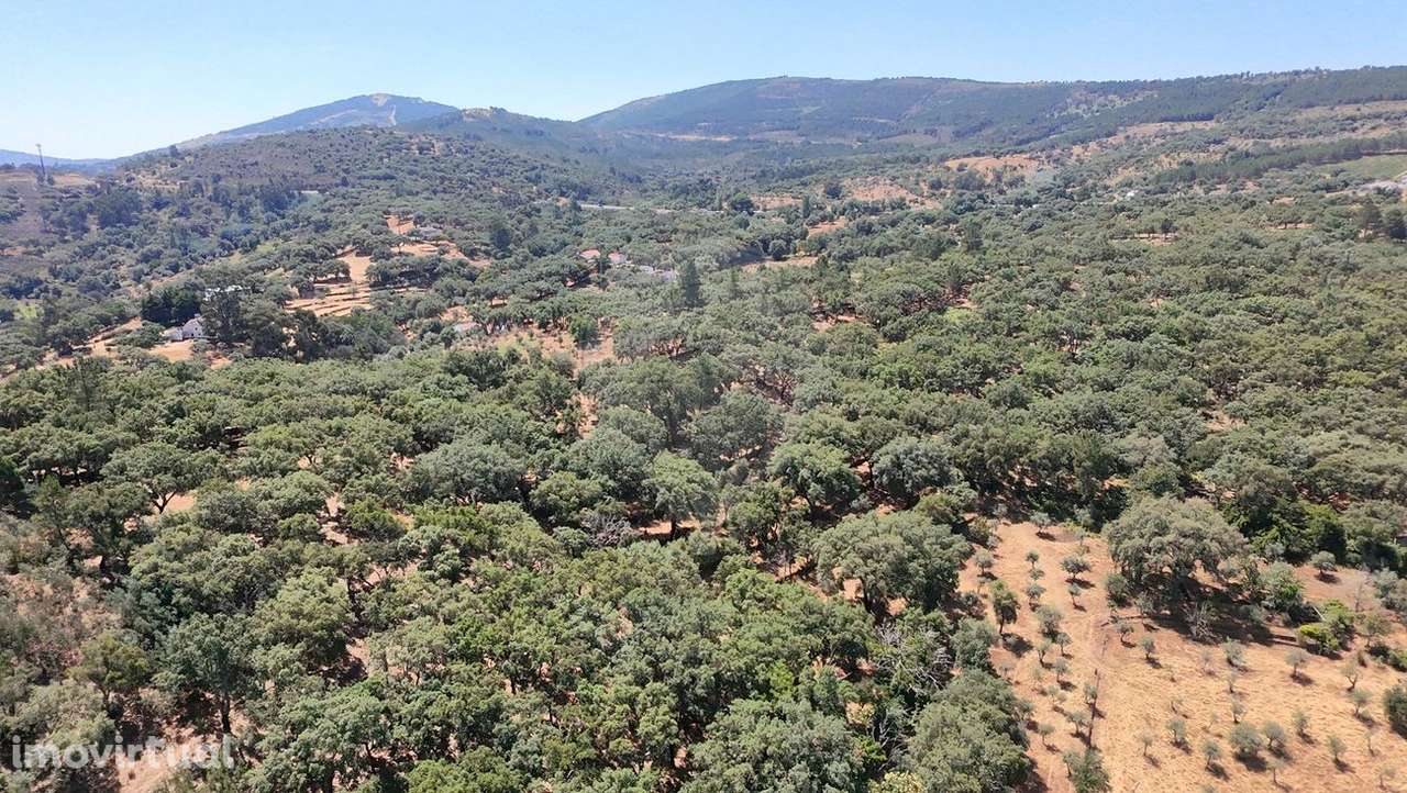 Terreno  para venda - Grande imagem: 4/46