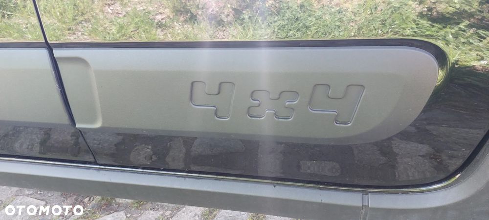 Fiat Panda 0.9 TwinAir Climbing S&S 4x4 - 11