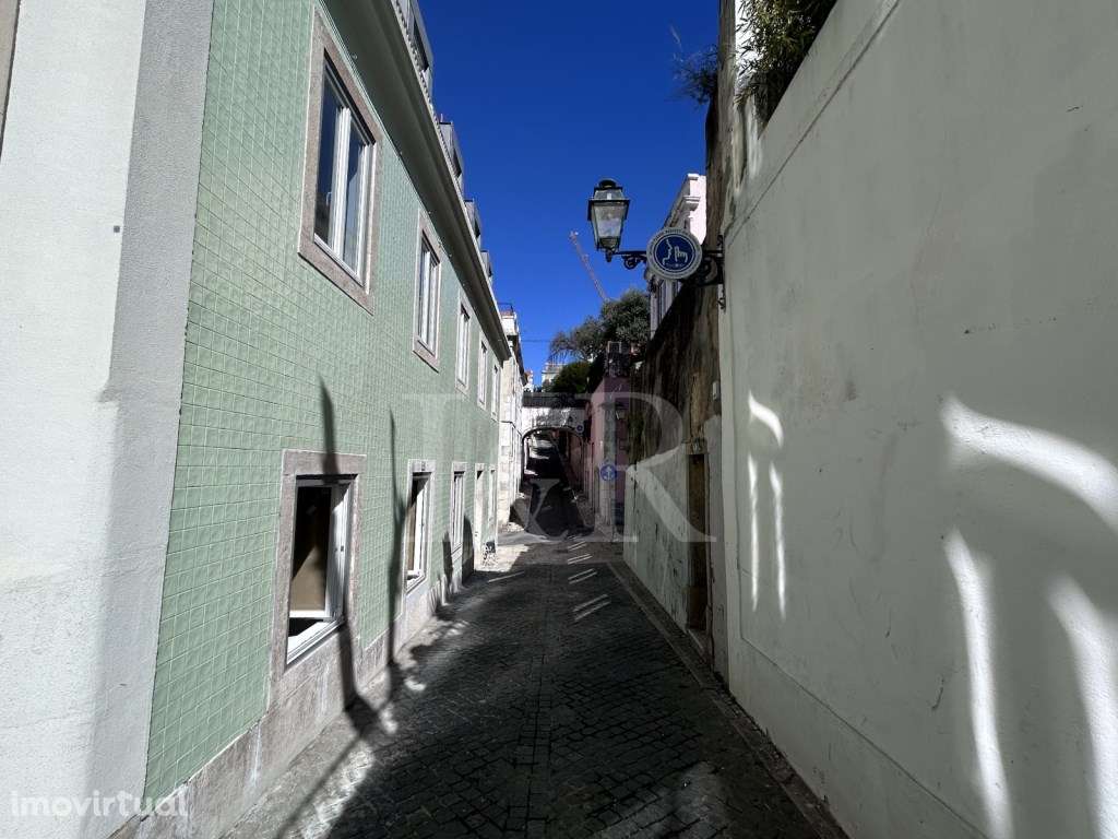 Mt Premier Laurel Príncipe Real - Grande imagem: 3/19