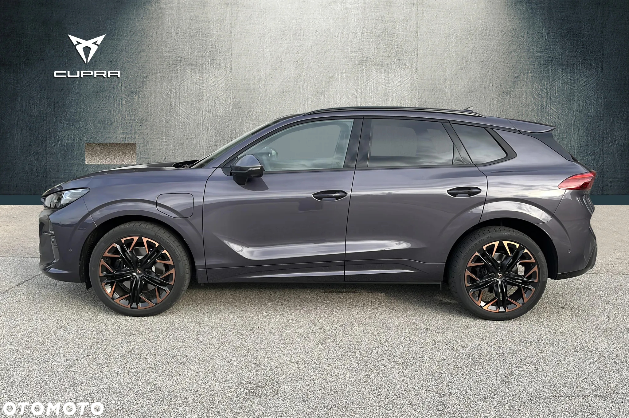 Cupra Terramar - 4