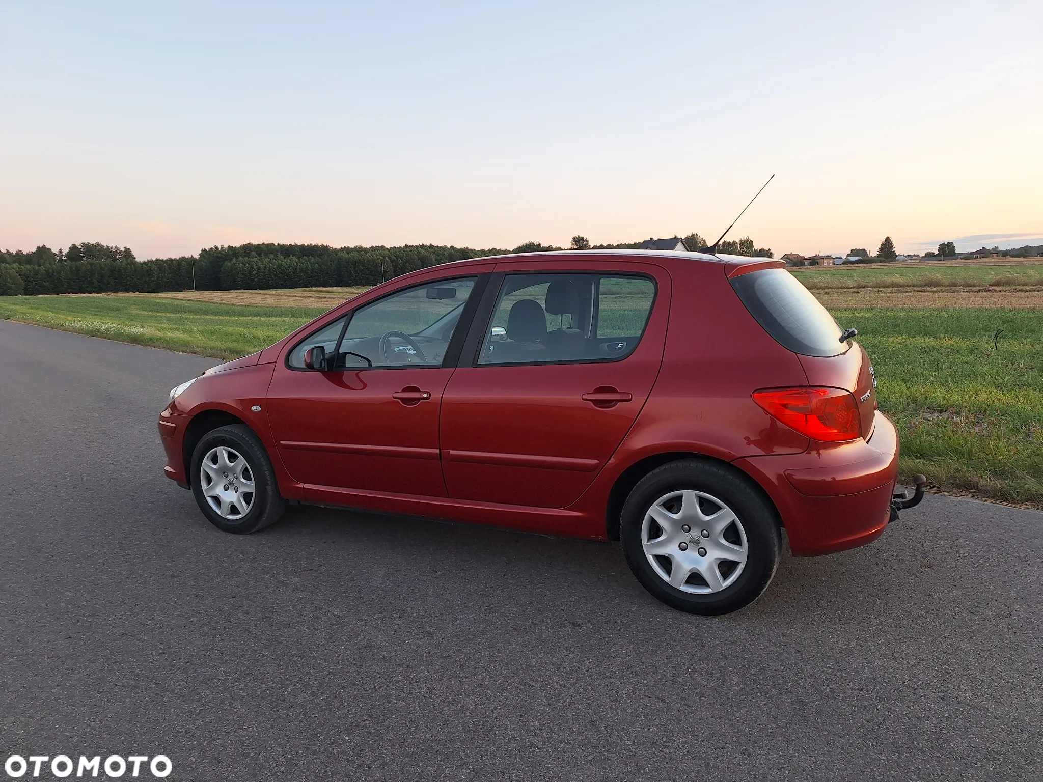 Peugeot 307 110 Premium - 14