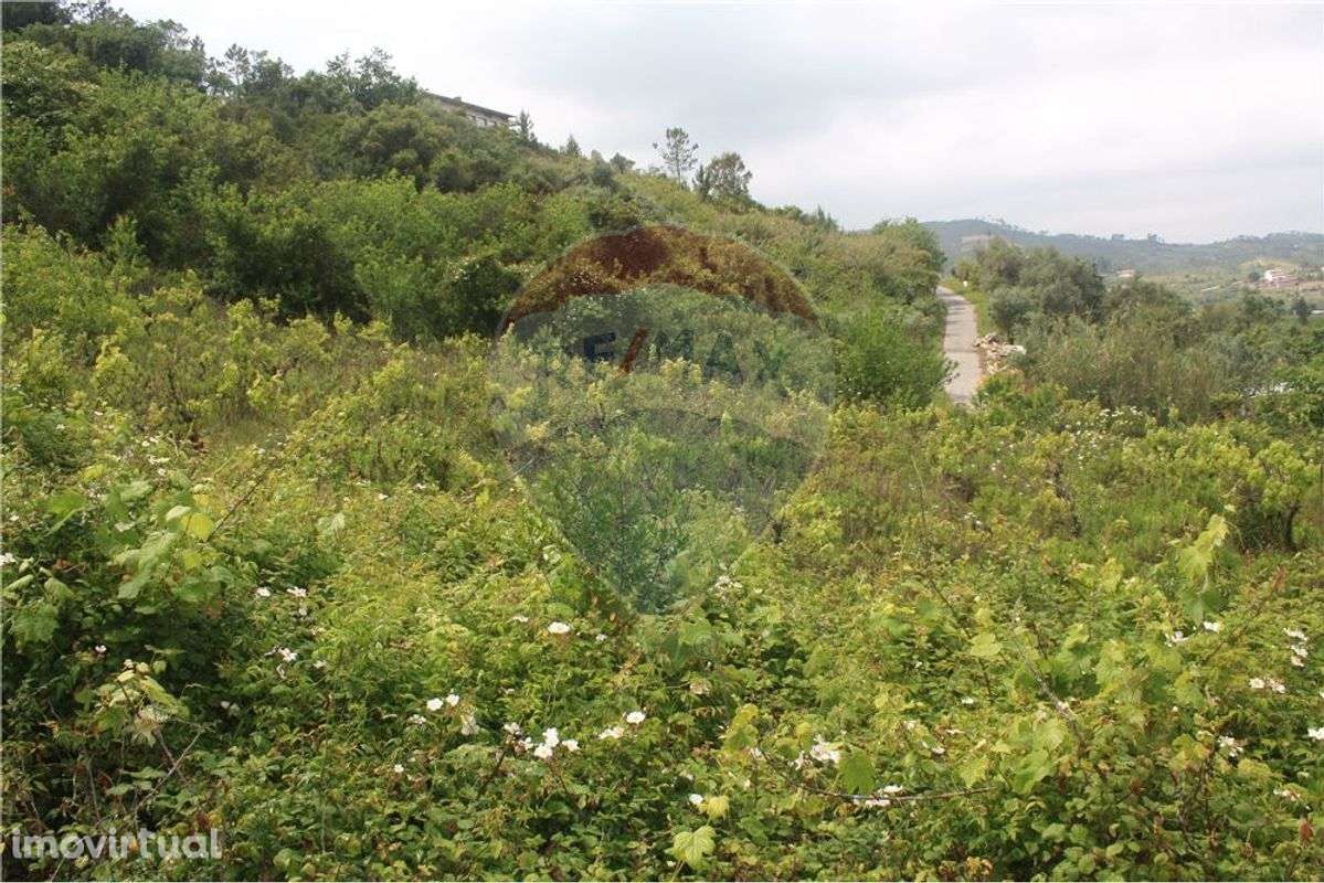 Terreno T0 para venda - Grande imagem: 5/10