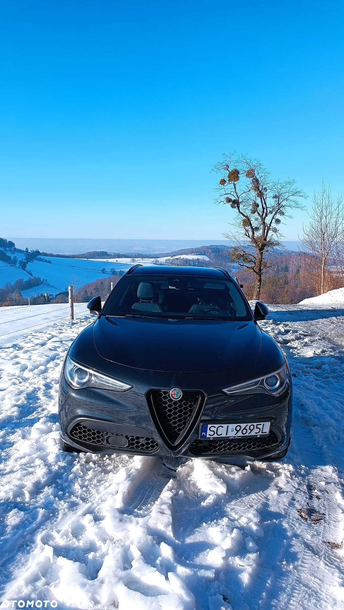 Alfa Romeo Stelvio 2.0 Turbo Veloce Q4 - 15