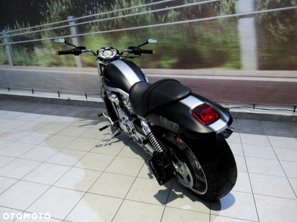 Harley-Davidson Softail V-Rod - 7