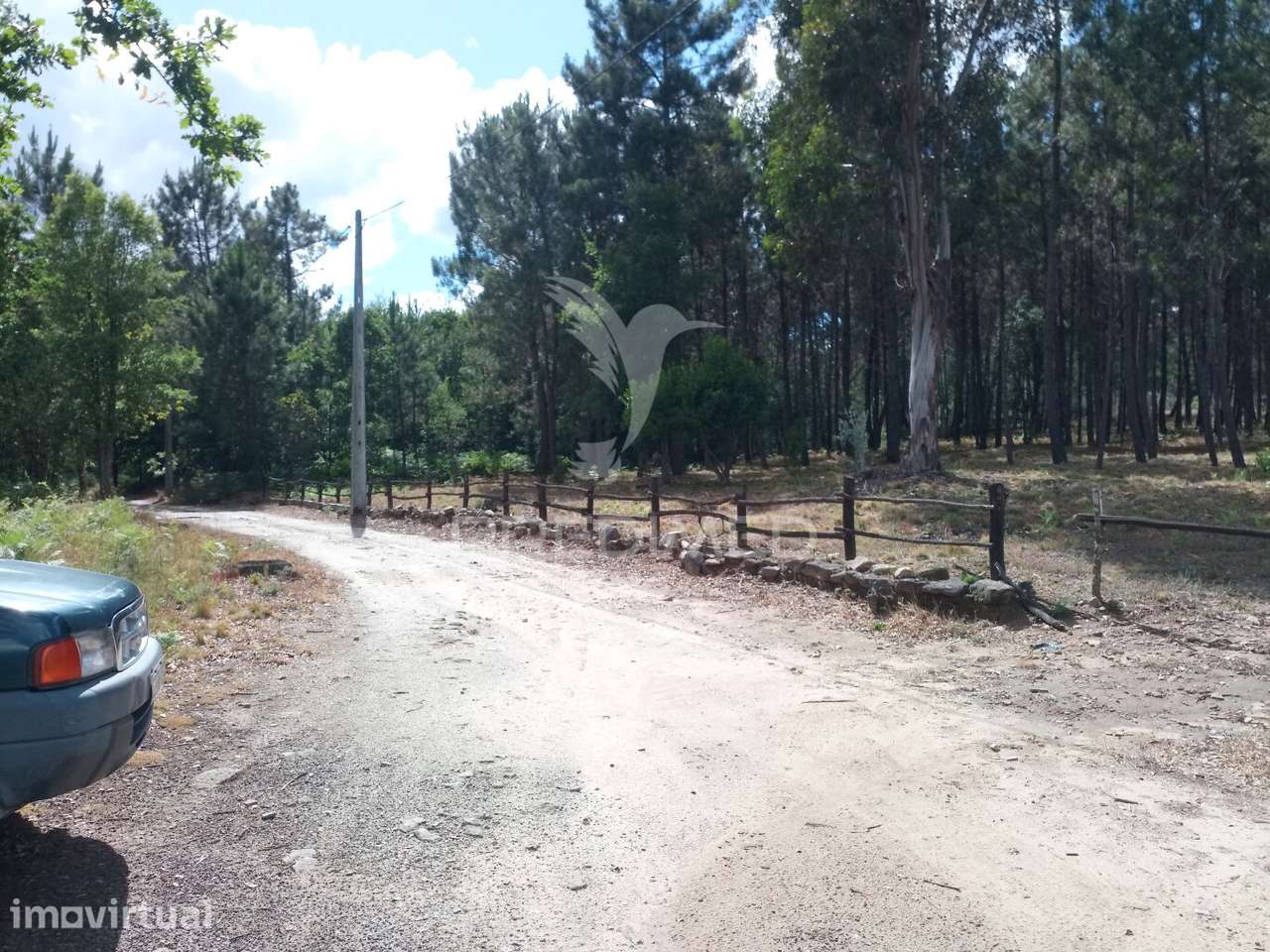 Terreno situado no Monte da Nossa Senhora do Castelo, Mangualde - Grande imagem: 3/12