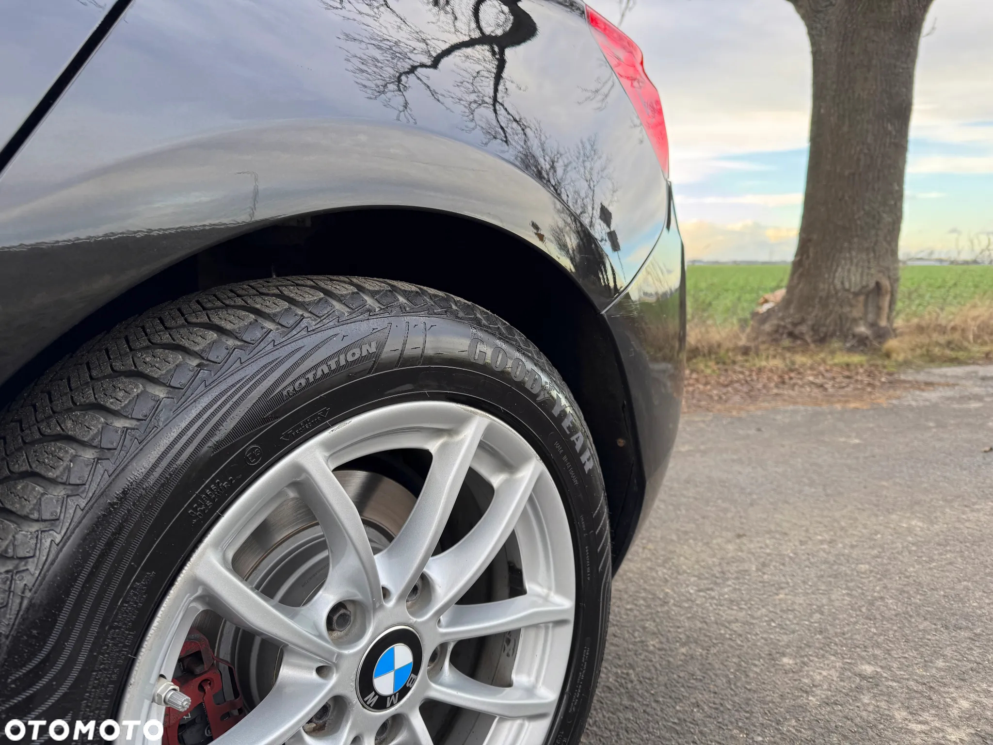 BMW Seria 1 116d - 38