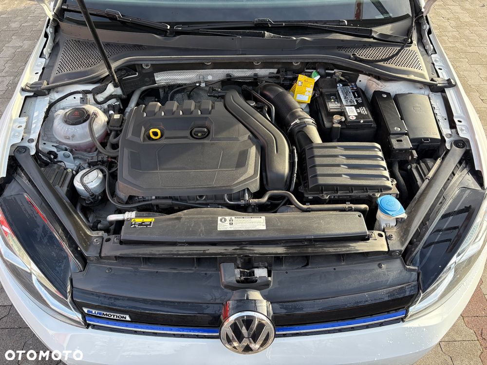 Volkswagen Golf - 13