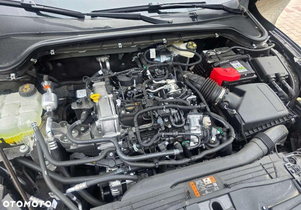 Ford Focus - 40