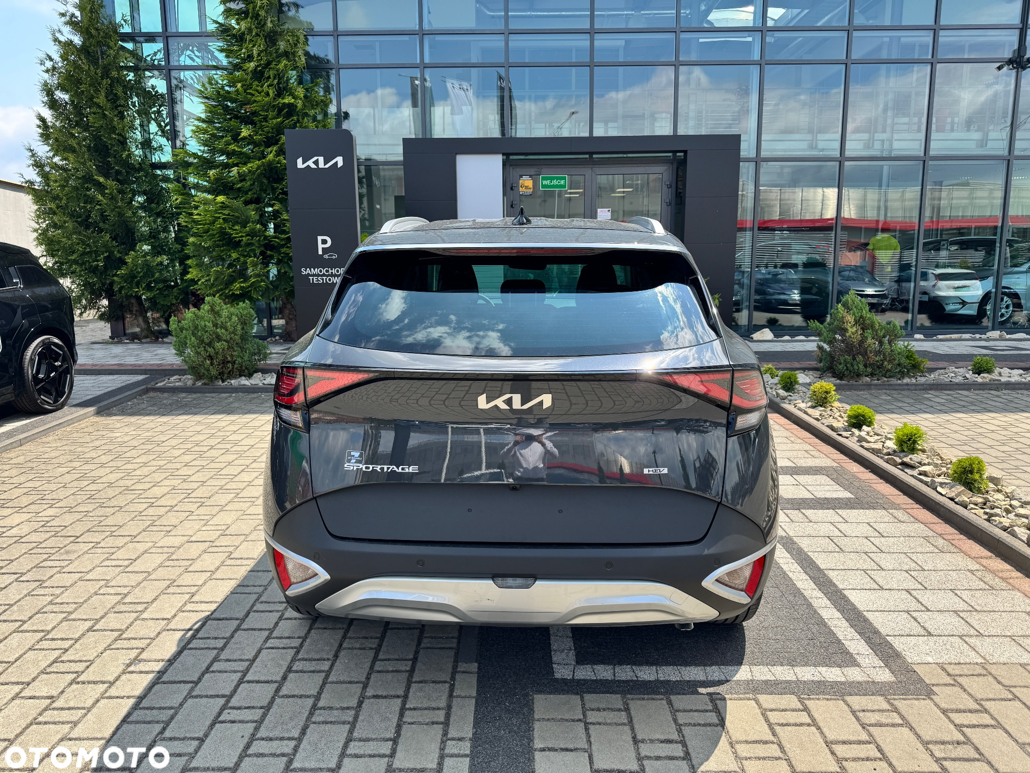 Kia Sportage 1.6 T-GDI HEV L 2WD - 8