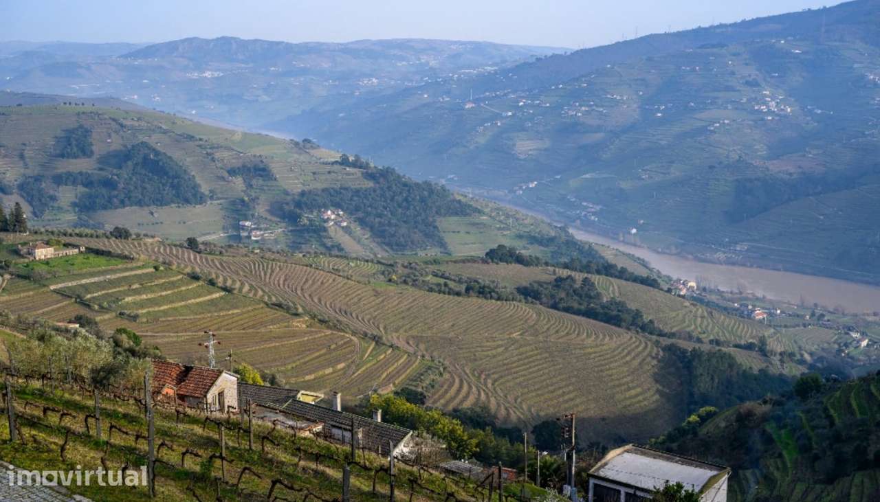 Quinta Vinicola em Vila Marim, Mesão Frio, Douro Valley - Grande imagem: 2/45