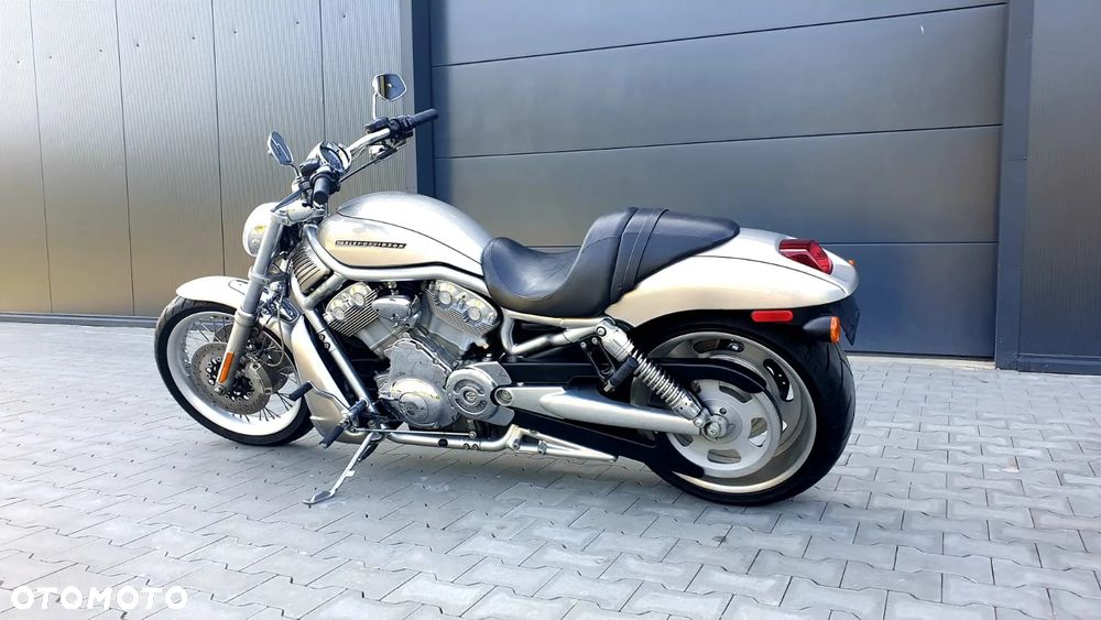 Harley-Davidson Softail V-Rod - 2