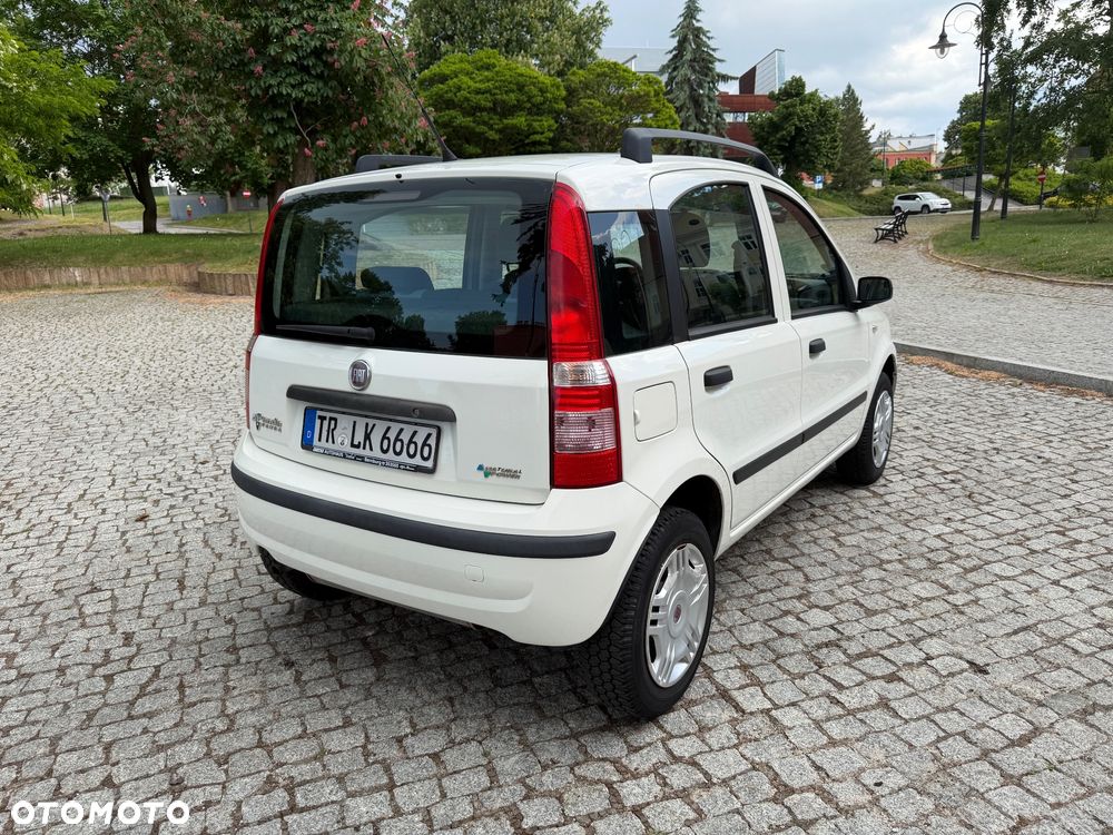 Fiat Panda - 36