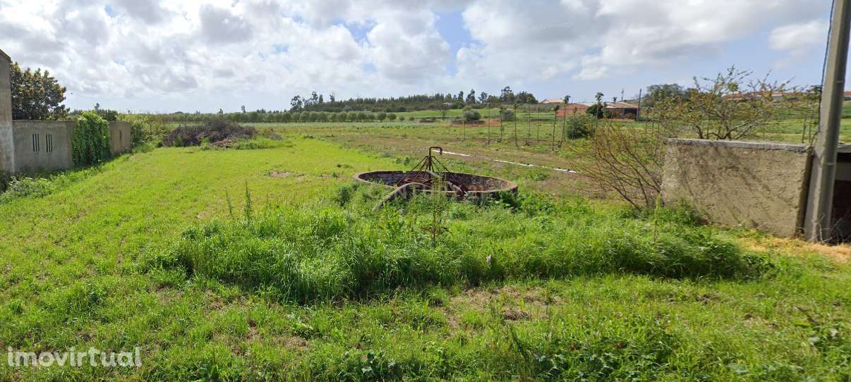 Terreno Rústico em Vagos, Aveiro - Oportunidade Única! - Grande imagem: 5/9