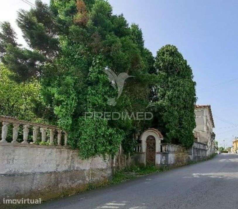 Quinta com Potencial de Recuperação e Construção | Fiães – Santa Ma... - Grande imagem: 2/8