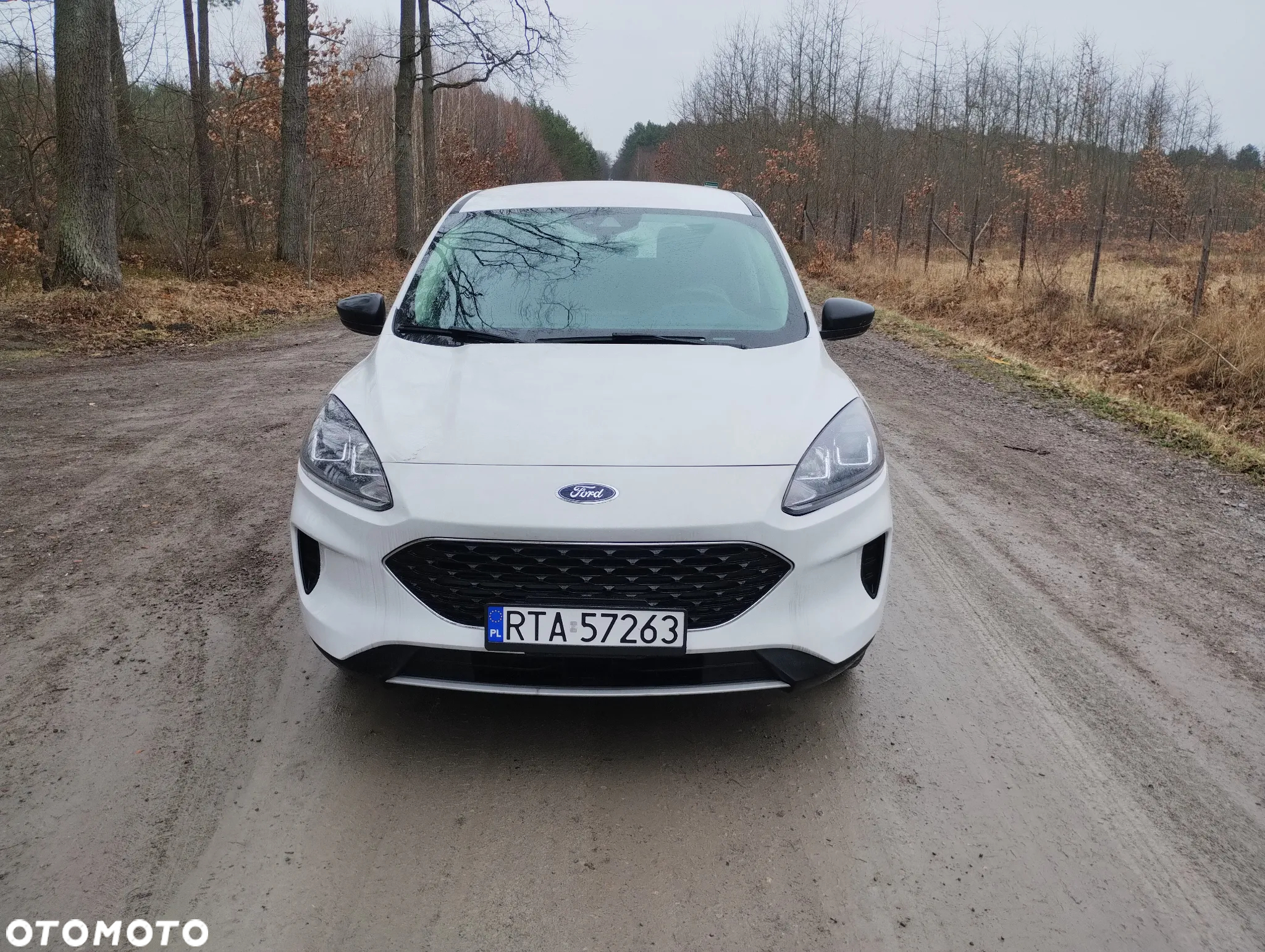 Ford Escape - 3