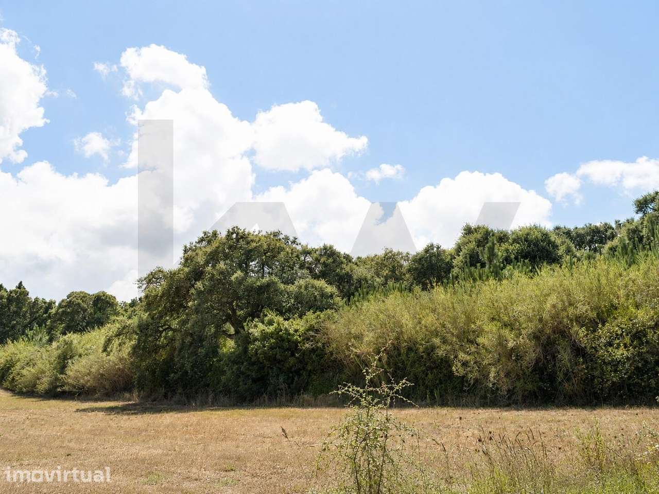 Vau, Óbidos | Terreno Rústico com 3.680 m2 - Grande imagem: 4/15