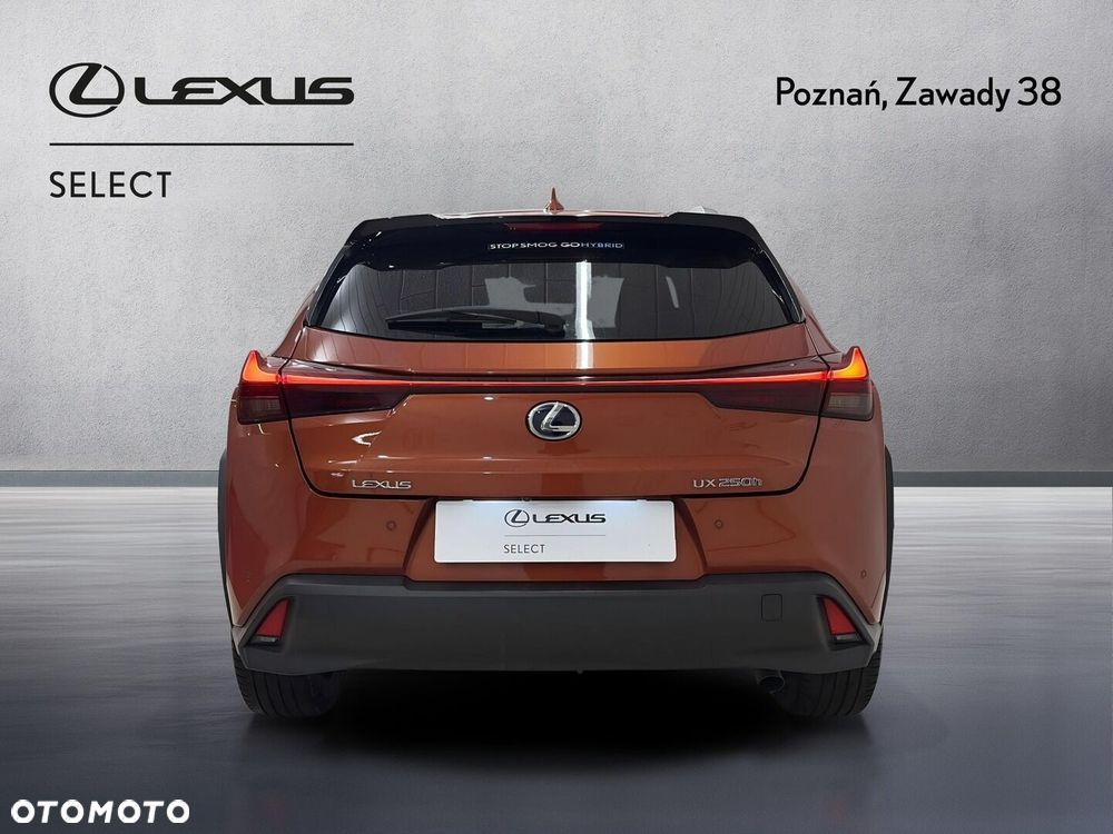 Lexus UX 250h GPF Business Edition 2WD - 8