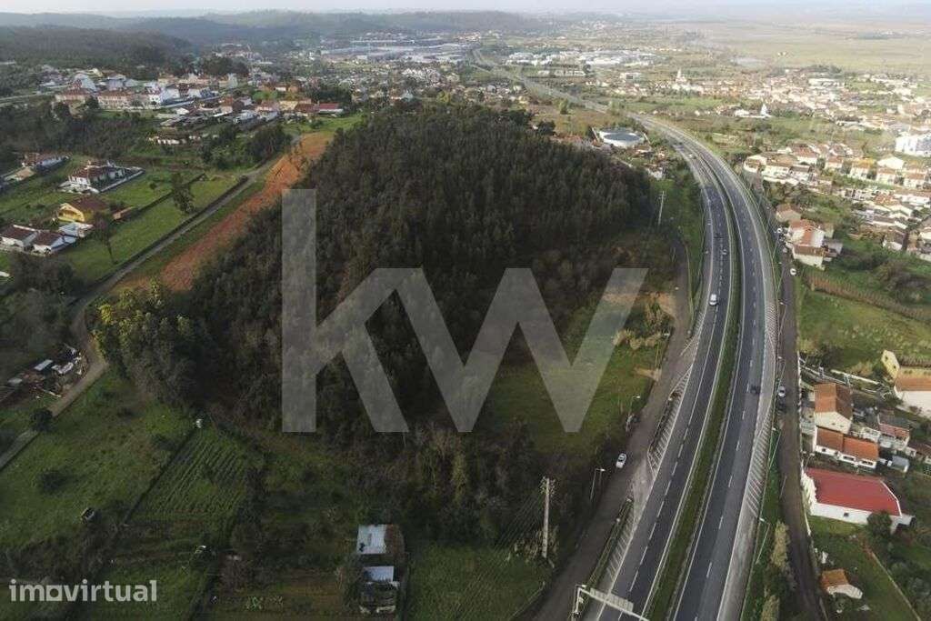 Grande terreno para construção com mais de 18000m2  | Ribeira de Frade - Grande imagem: 5/21