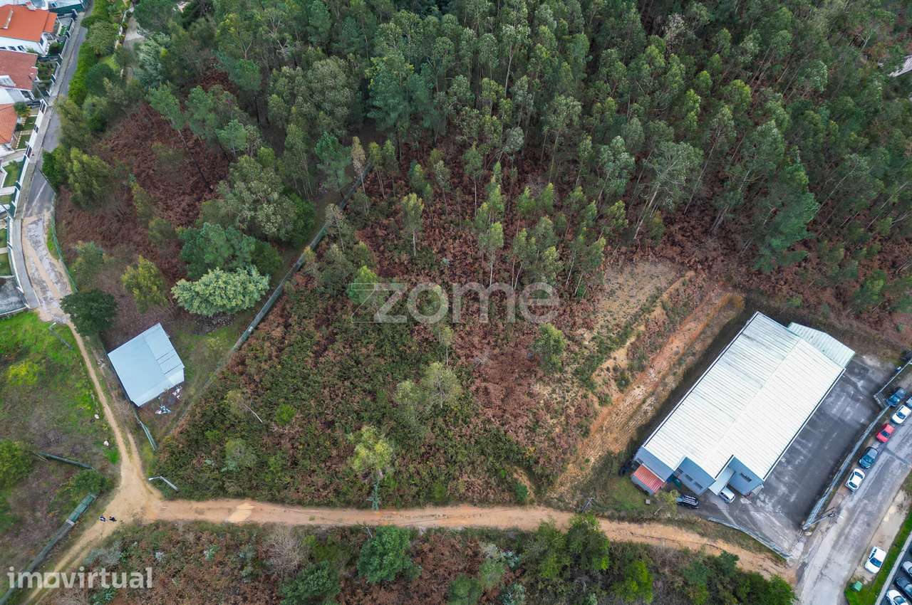 Terreno 3300m2 Vila Chã |São Roque | Oliveira de Azeméis - Grande imagem: 5/15