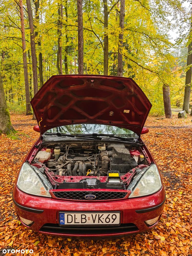 Ford Focus 1.6 Ghia - 6