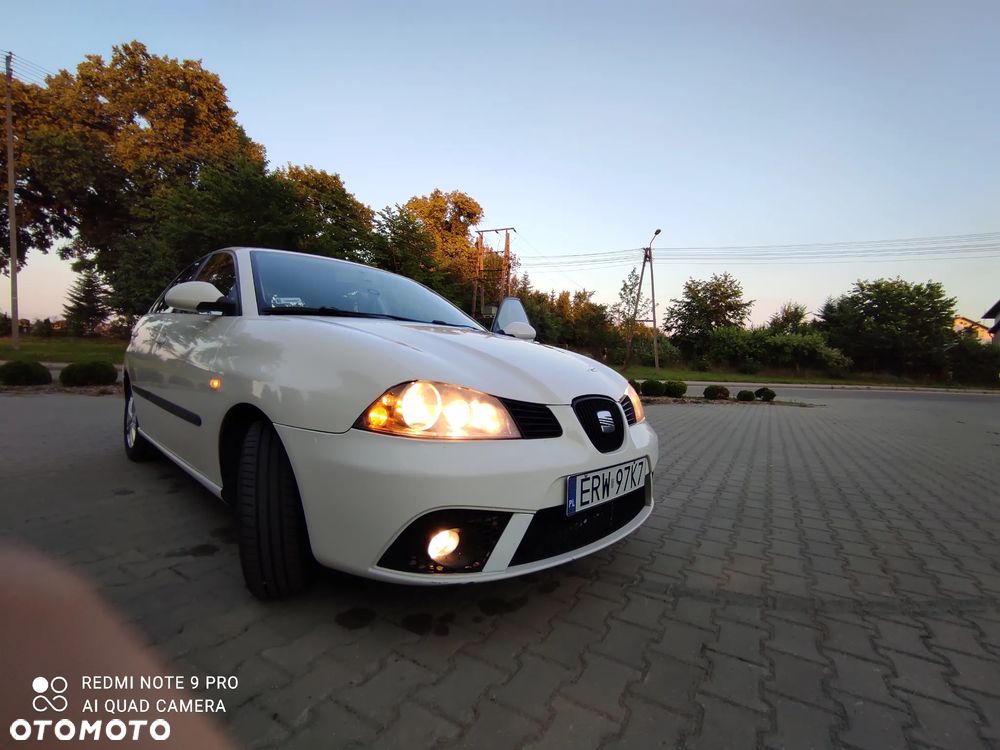 Seat Ibiza - 19