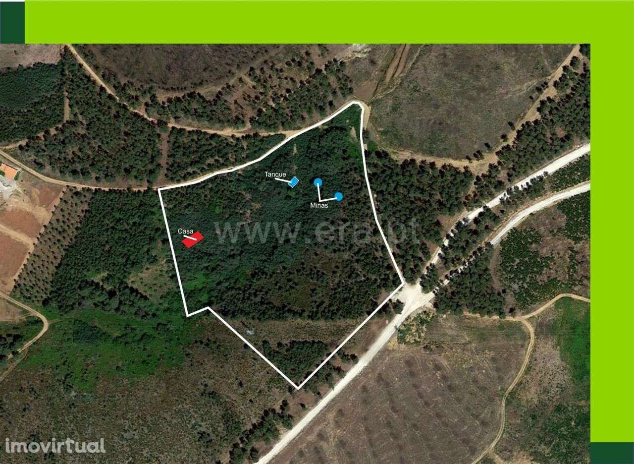 Terreno com ruina / Covilhã, Serra da Estrela - Grande imagem: 5/5