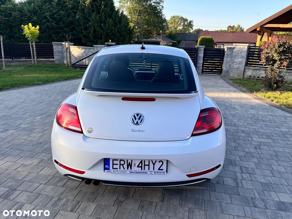 Volkswagen Beetle - 5