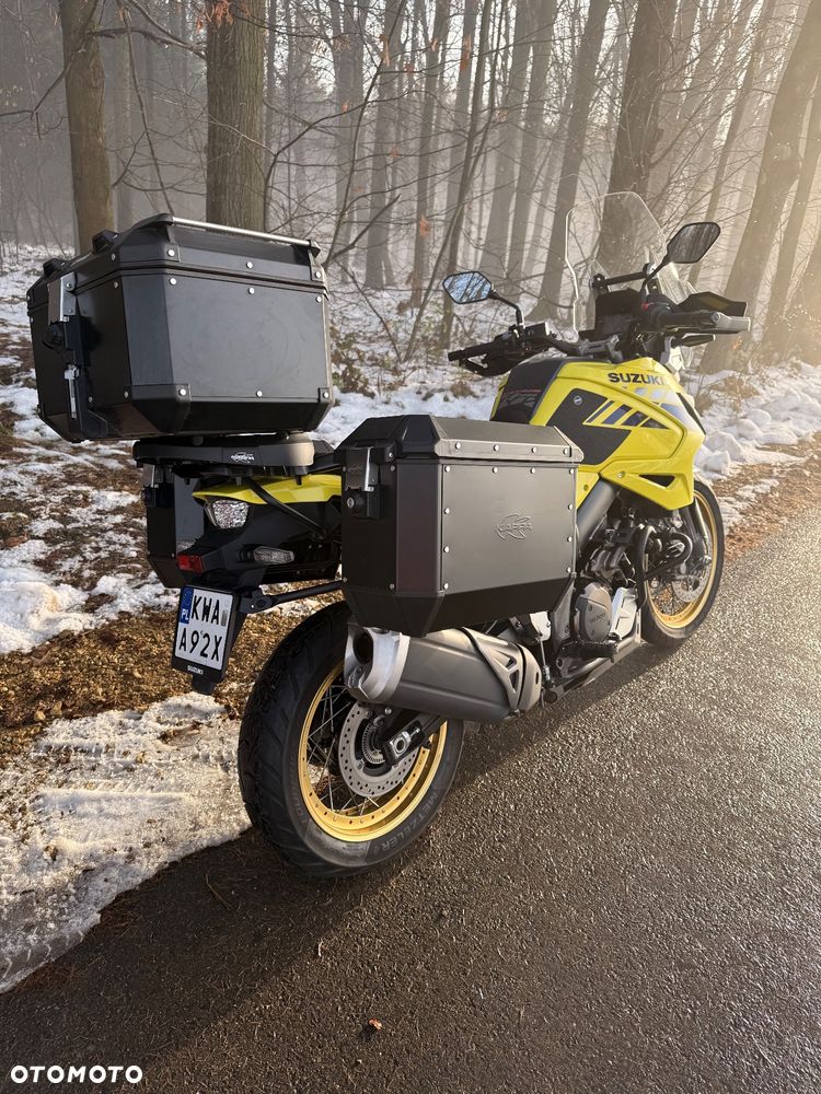 Suzuki DL - 5