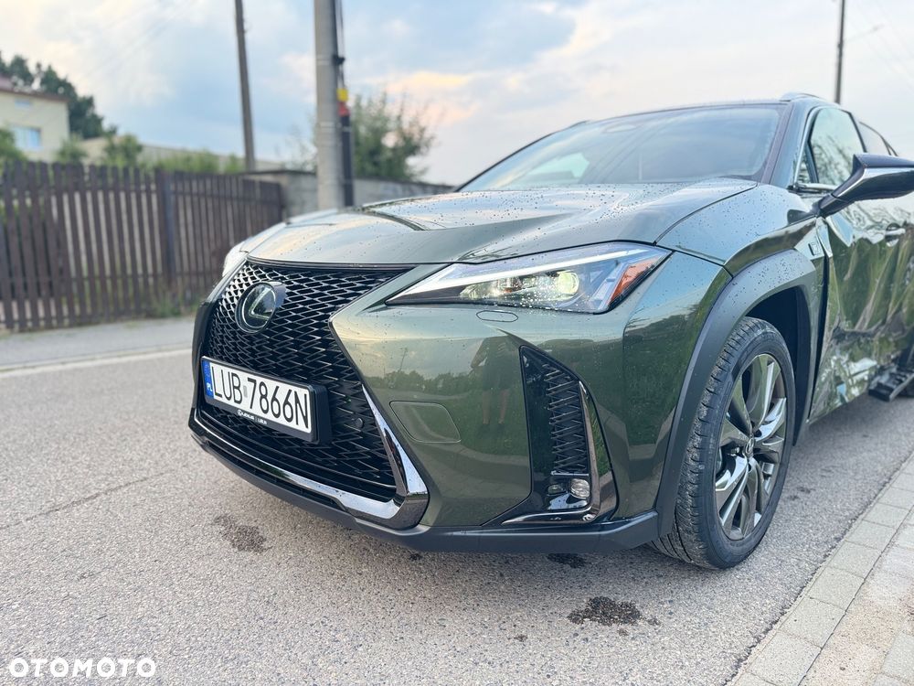 Lexus UX 300h F Sport AWD - 10
