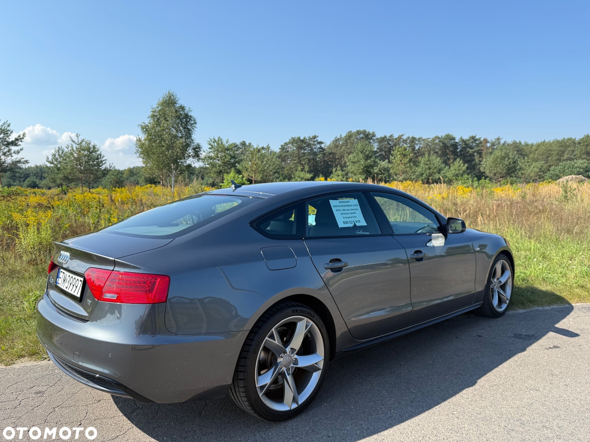 Audi A5 Sportback 2.0 TDI (clean diesel) DPF multitronic - 8