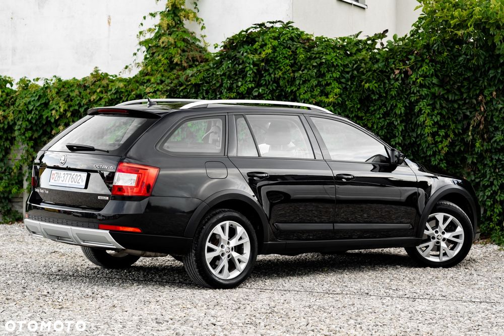 Skoda Octavia 1.8 TSI (Green tec) 4x4 DSG Scout - 15