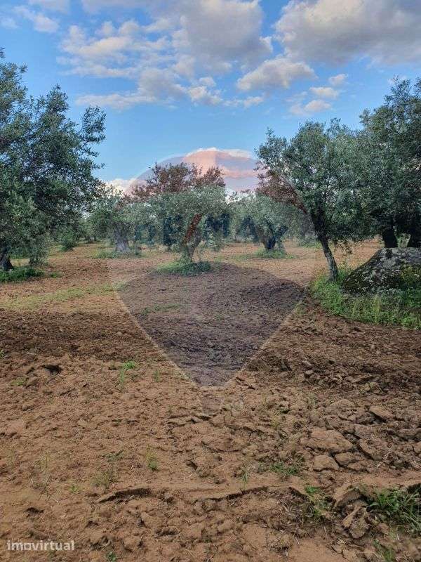 Terreno  para venda - Grande imagem: 5/8